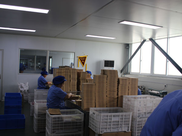 河南哪家膏藥代加工廠家生產的膏藥好？