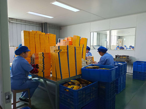 膝關節(jié)不適貼什么膏藥好？哪個牌子效果好？