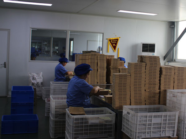 膏藥oem貼牌代加工起訂量多少？價格一般多少錢